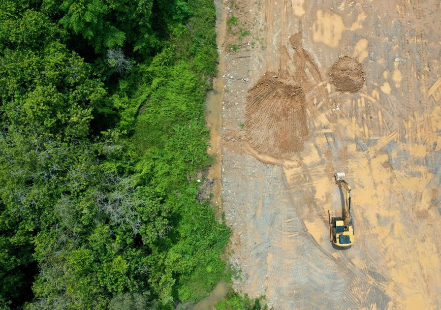 5 Major Environmental Wins in 2021 – Riff